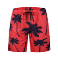 Men's Beachwear Summer Shorts - AM APPAREL